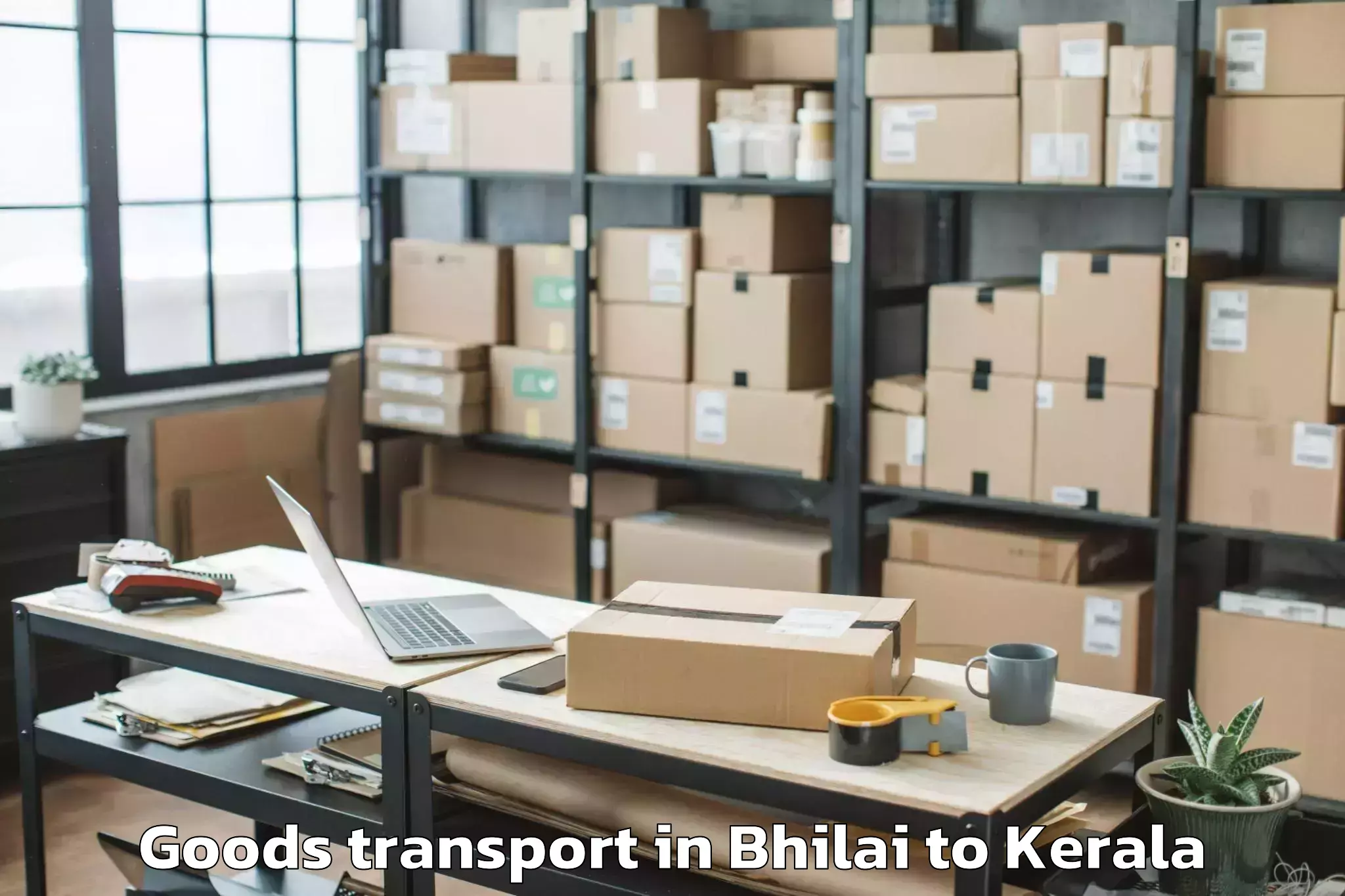 Reliable Bhilai to Munnar Goods Transport